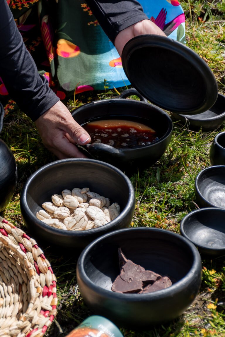 Guardianes del cacao